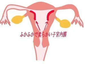 ふかふか卵巣キャプチャ